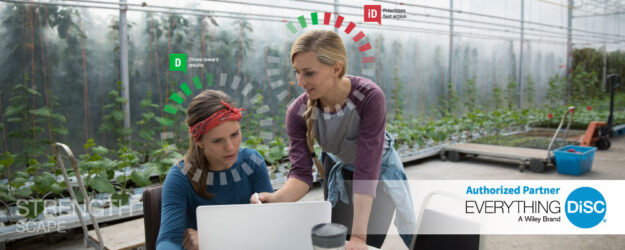 DiSC Workshops India